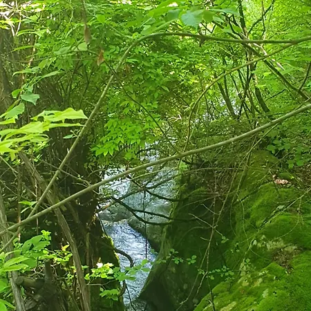 Apartma Alpine Village With A Private Terrace, Garden, And Parking - At A Walking Distance From Bled