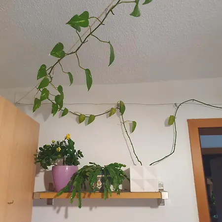 Alpine Village With A Private Terrace, Garden, And Parking - At A Walking Distance From Bled Apartman Bohinjska Bela