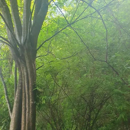 Alpine Village With A Private Terrace, Garden, And Parking - At A Walking Distance From Bled Apartma