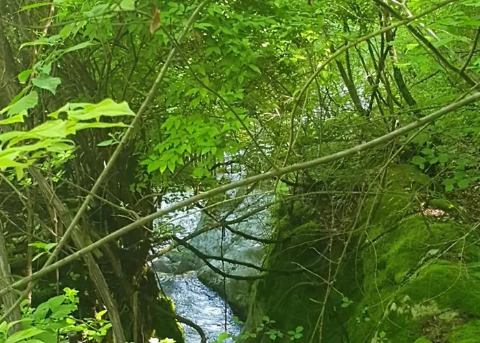 公寓 Alpine Village With A Private Terrace, Garden, And Parking - At A Walking Distance From Bled