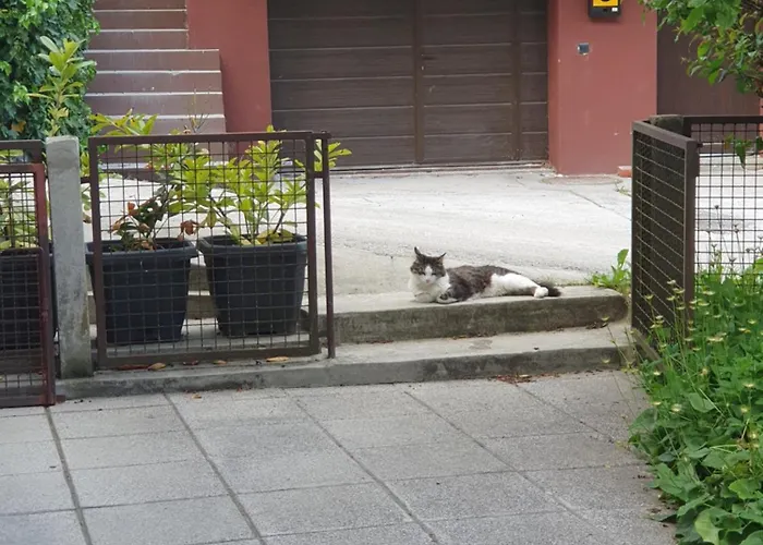 アパート Alpine Village With A Private Terrace, Garden, And Parking - At A Walking Distance From Bled