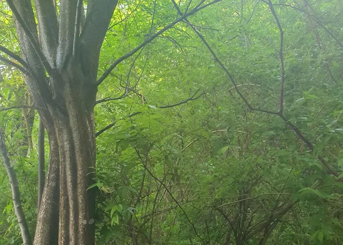 Alpine Village With A Private Terrace, Garden, And Parking - At A Walking Distance From Bled アパート